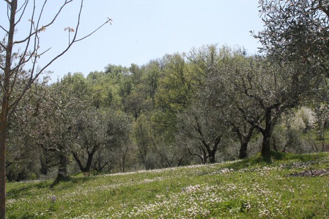 Esterno