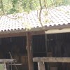 Esterno